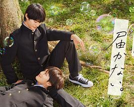 深圳哪个网站优化服务好